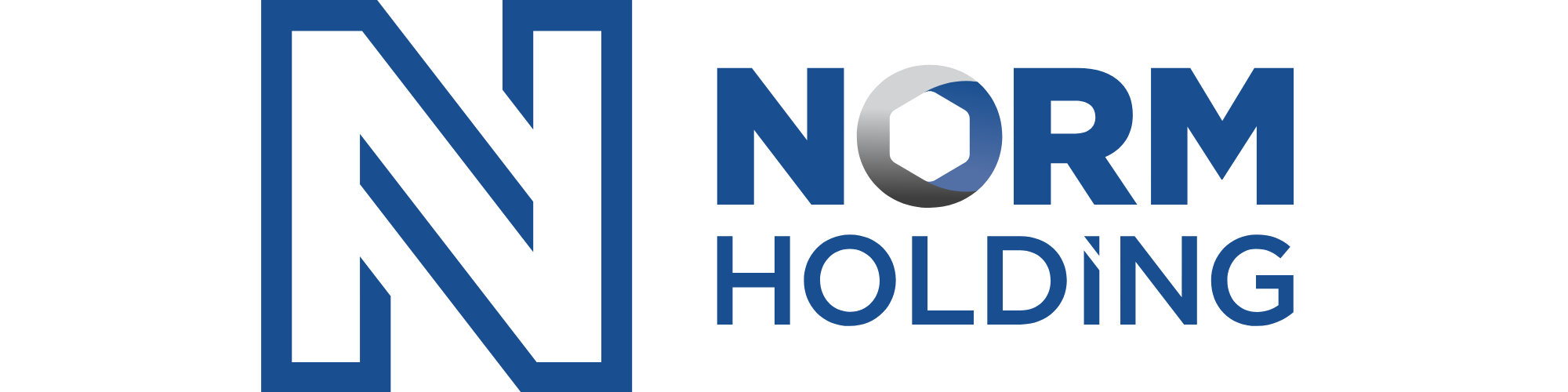 NORM HOLDİNG
